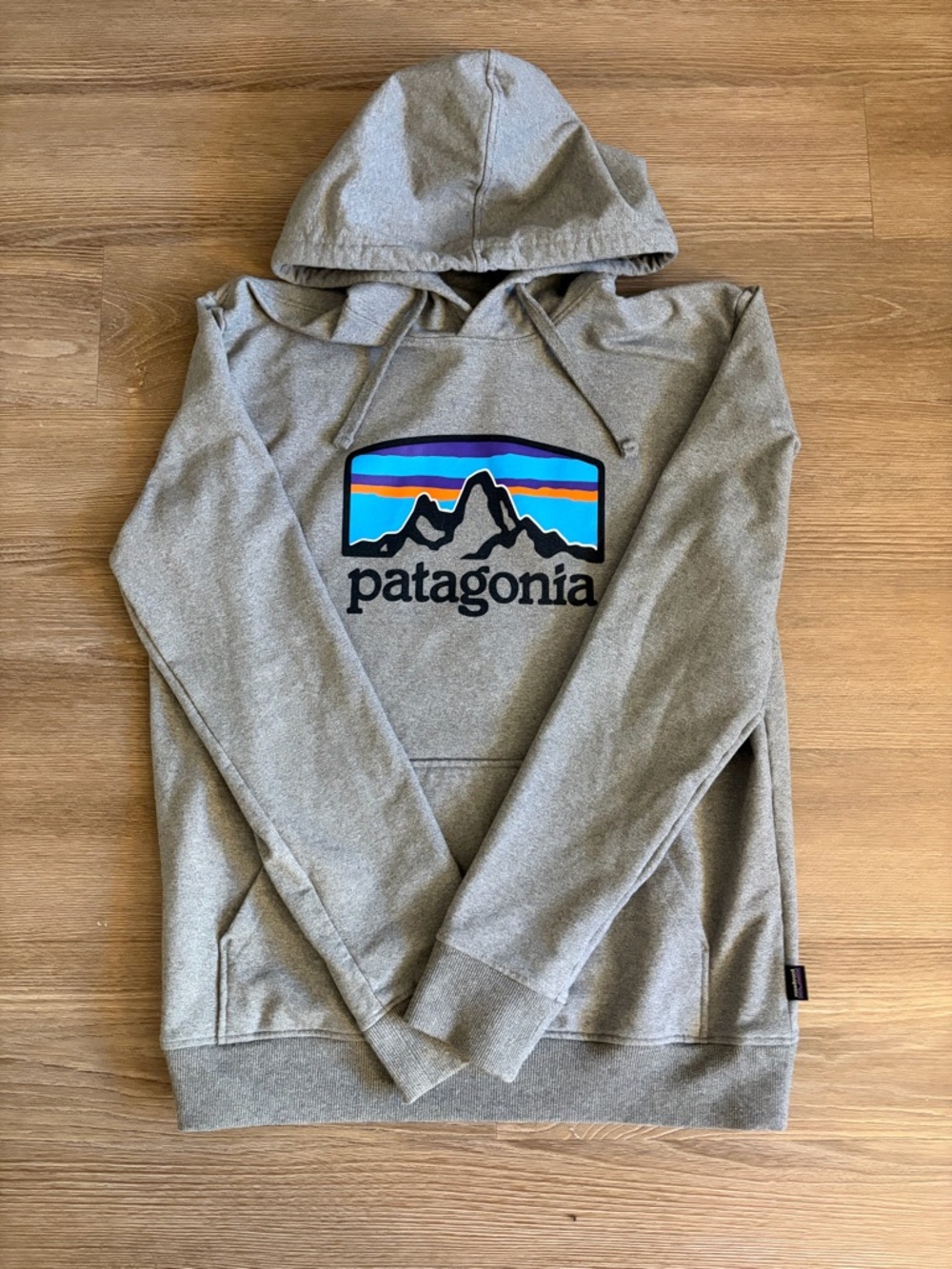 Patagonia Hoodie Great Condition Size M Men